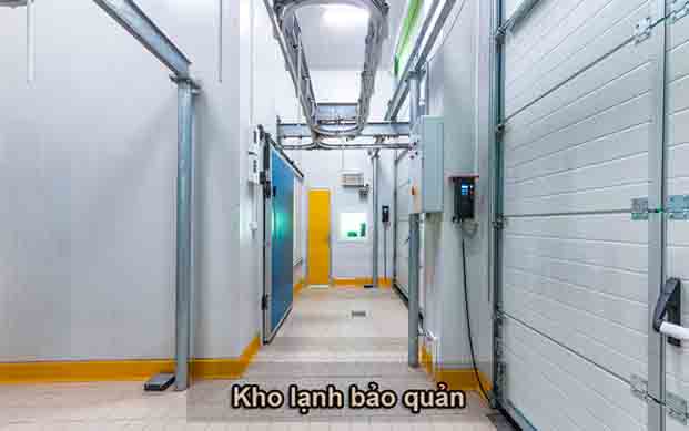các dạng kho lạnh bảo quản