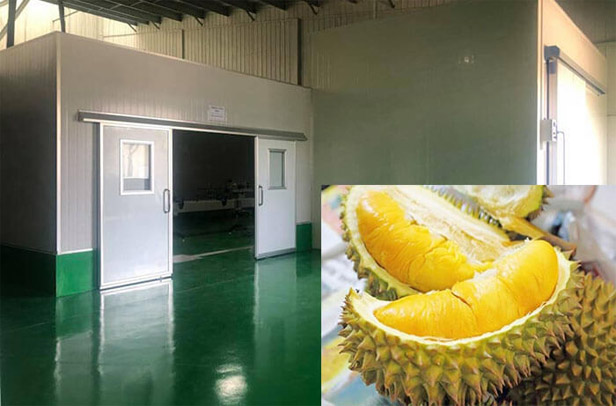 kho lạnh bảo quản sầu riêng 1