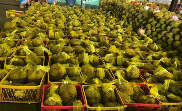 kho lạnh bảo quản sầu riêng 2