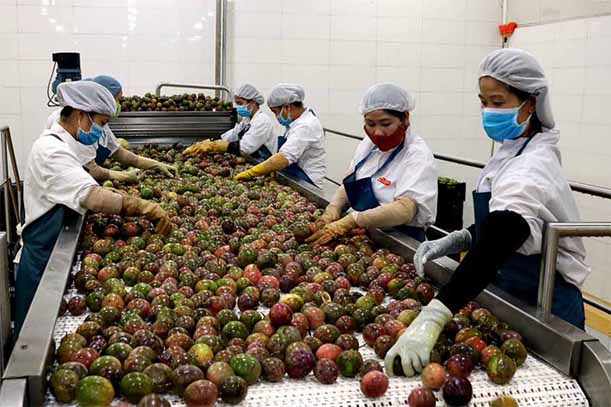 kho lạnh bảo quản thực phẩm