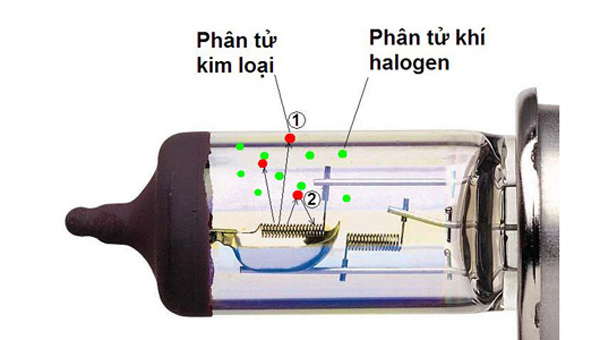 Nguyên lý hoạt động và cấu tạo của đèn sưởi