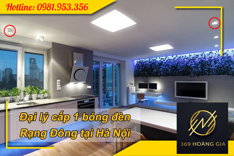 Đại lý cấp 1 bóng đèn rạng đông