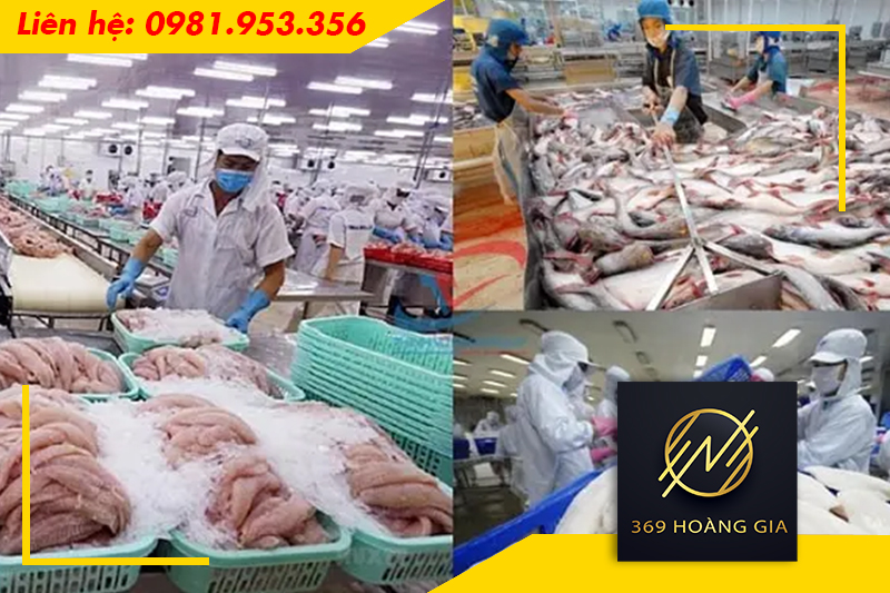 Kho đông lạnh bảo quản thủy hải sản là gì