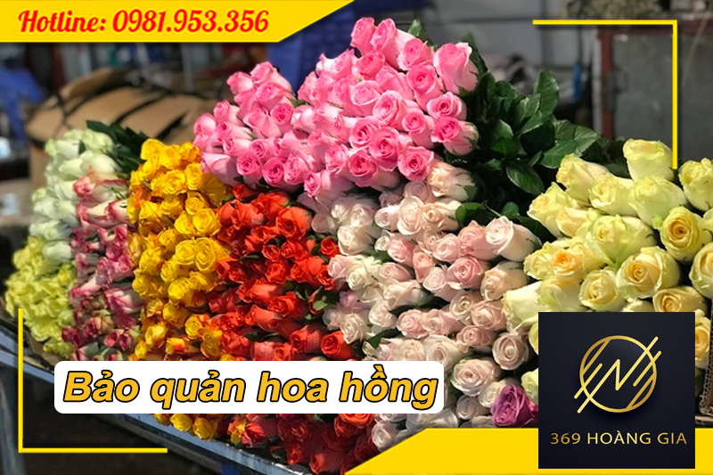 Cách bảo quản hoa hồng trong kho lạnh