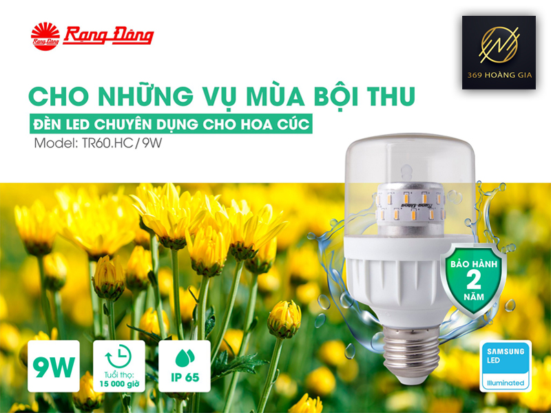 đèn led hoa cúc rạng đông 1