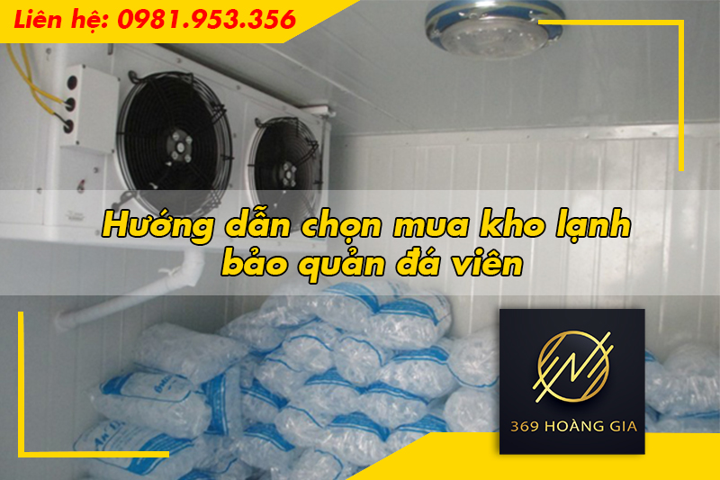 Hướng dẫn chọn mua kho lạnh bảo quản đá viên